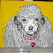 silver dog